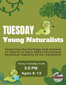 Young Naturalists (ages 6-12) - Rossland @ Rossland Museum & Discovery Centre