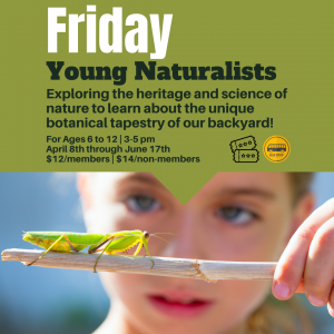 Young Naturalists (ages 8-14) - Rossland @ Rossland Museum & Discovery Centre